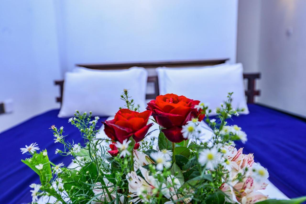Ella View Hotel 외부 사진